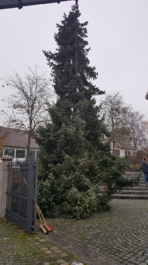 Christbaum Dorfplatz_7