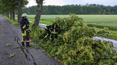 Baum auf Fahrbahn - #1 Juni 2021