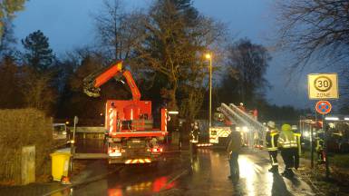Baum in Stromleitung - Januar 2018