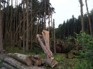 19-IMG_0427