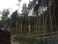 Unwetter - Juni 2013