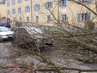 Technische Hilfe - Sturmschaden