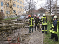 Unwettereinsätze - März 2015