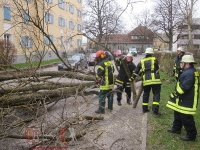 Technische Hilfe - Sturmschaden